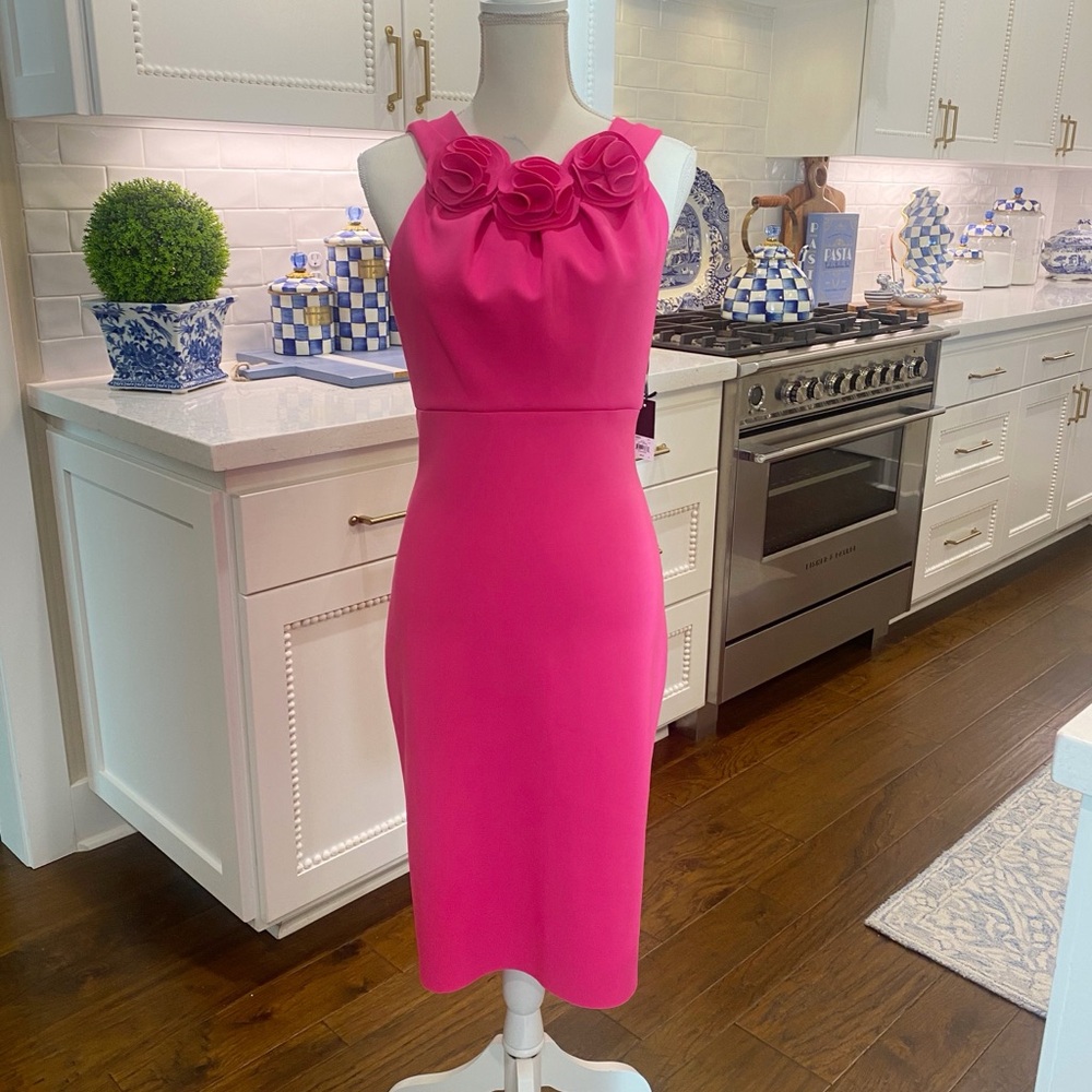 NWT Jason Wu sheath dress in hot pink size L. Absolutely stunning!
